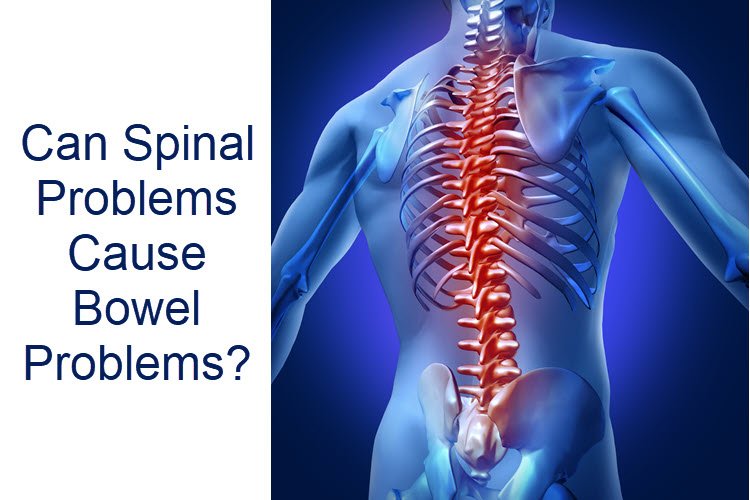 Can Spine Problems Cause Bowel Issues